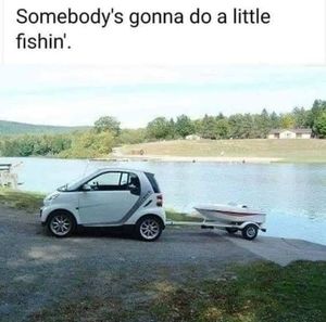 Meet your Posher, George